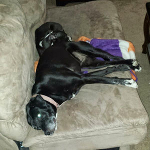 Meet your Posher, Brian